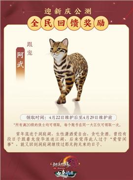 天龙八部私服宝宝属性